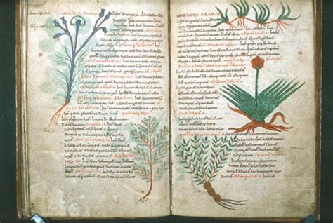 Unlocking the Magic of Pagan Herbology: Discoveries from a Long-Lost Manuscript